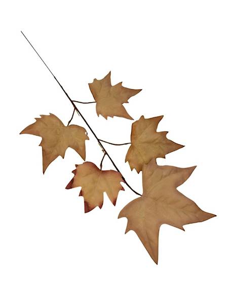 Liść klon 54 cm pudrowy pomarańcz