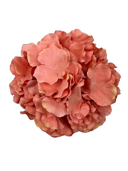 Hortensja główka 21 cm łososiowa