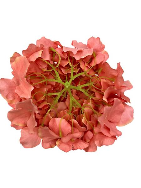 Hortensja główka 21 cm łososiowa