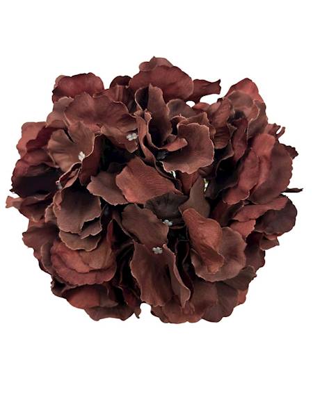 Hortensja główka 21 cm brązowa