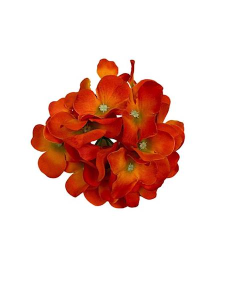 Hortensja główka 13 cm mocny pomarańcz