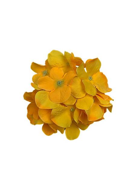 Hortensja główka 13 cm jasno pomarańczowa