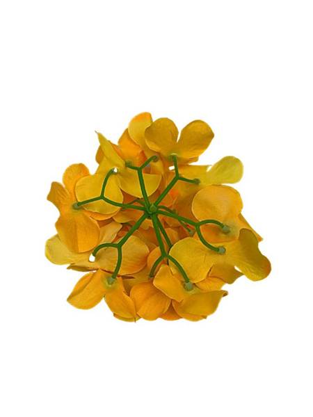 Hortensja główka 13 cm jasno pomarańczowa