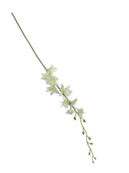 Storczyk tajlandzki 70 cm kremowy