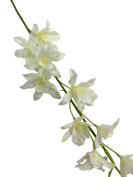 Storczyk tajlandzki 70 cm kremowy