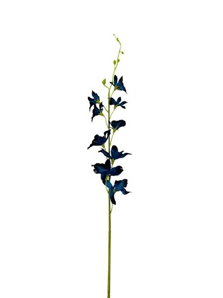 Storczyk tajlandzki 70 cm granatowy