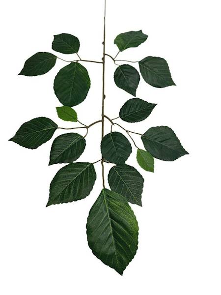 Liść buka gałązka 60 cm zielony