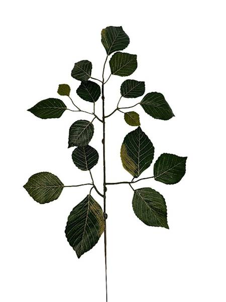 Liść buka gałązka 60 cm zielony z akcentami