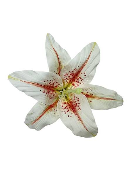 LILIA SILIKONOWA GŁÓWKA 20 CM BIAŁO CZERWONA