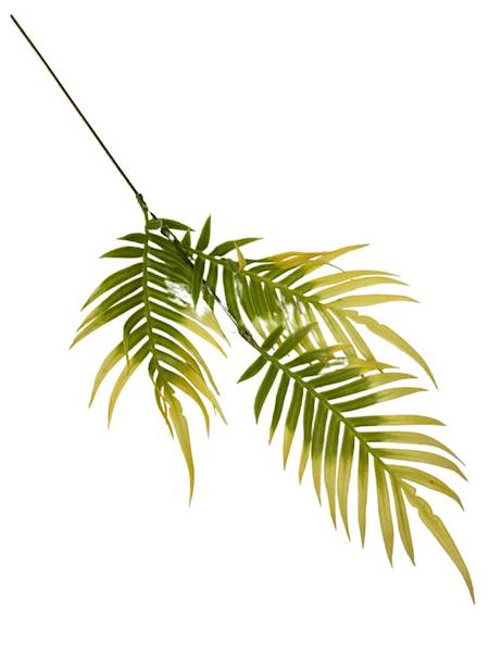 Paproć gałązka 46 cm żółta