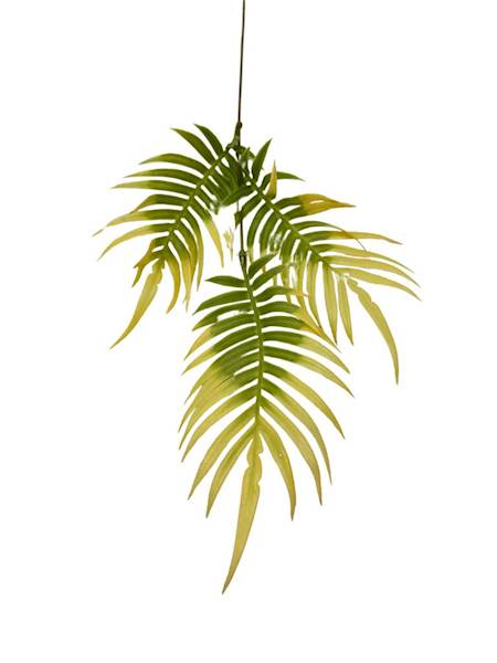 Paproć gałązka 46 cm żółta