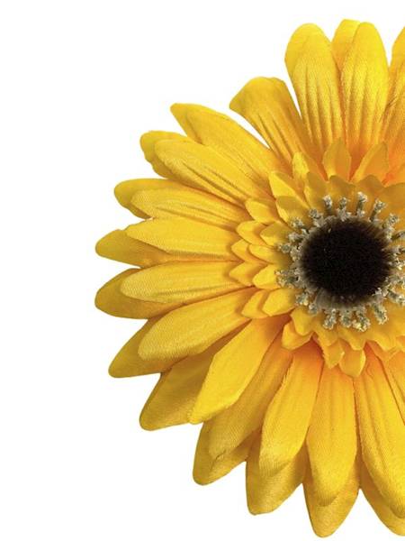 Gerbera główka 16 cm żółta