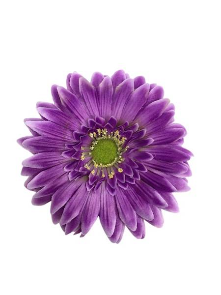 Gerbera główka 16 cm fiolet