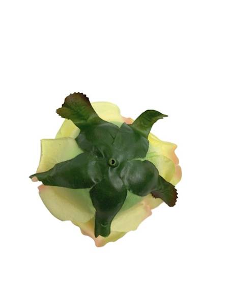 Róża główka 9 cm żółta z różem