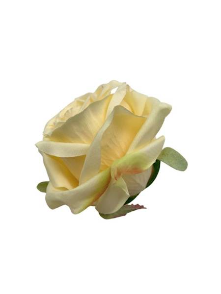 Róża główka 9 cm waniliowa