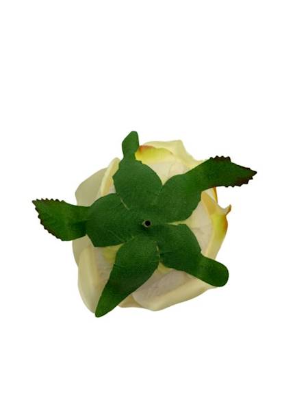 Róża główka 9 cm waniliowa