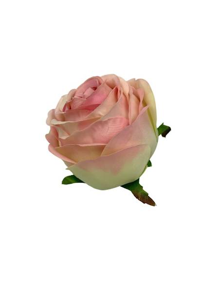 Róża główka 8 cm jasno różowa z zielonym
