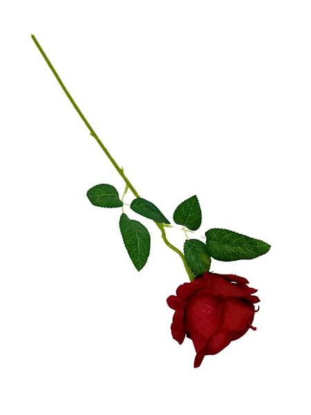 Róża velvet gałązka 50 cm czerwona