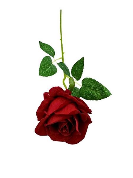 Róża velvet gałązka 50 cm czerwona