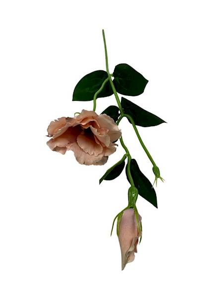 Eustoma gałązka 48 cm nude