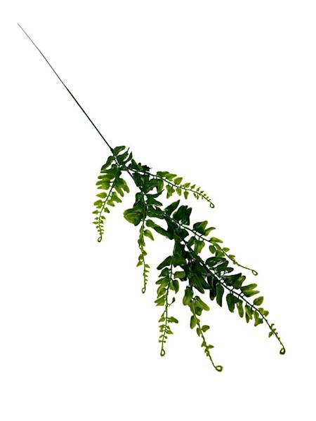 Paproć gałązka 60 cm zielona