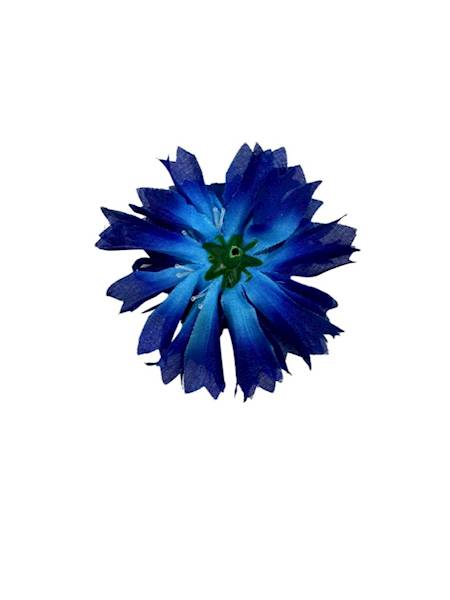 Chaber główka 8 cm ciemno niebieski