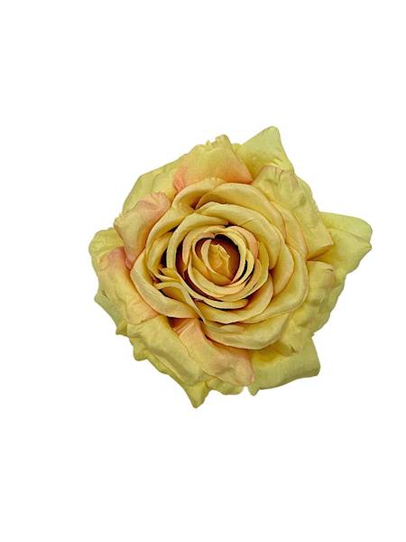 Róża główka 15 cm żółta