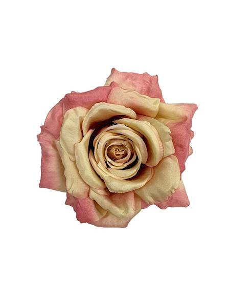 Róża duża główka 15 cm pudrowy róż i beż