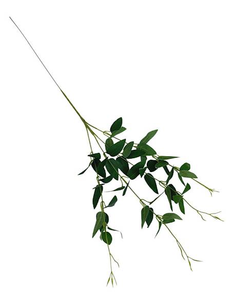 Ruskus gałązka 70 cm zielony