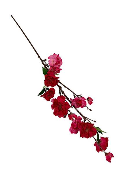 Jabłoń gałązka 60 cm mocny róż