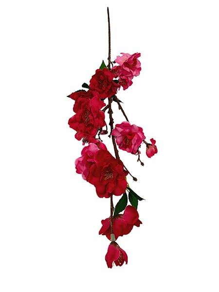 Jabłoń gałązka 60 cm mocny róż