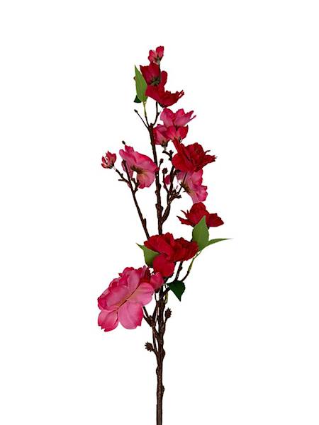 Jabłoń gałązka 60 cm mocny róż