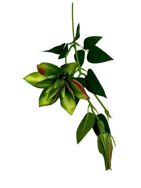 Klematis gałązka 48 cm zielony