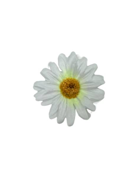 Margaretka stokrotka główka 6 cm biała