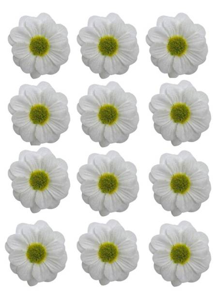 Margaretka główka 4 cm biała 12 sztuk