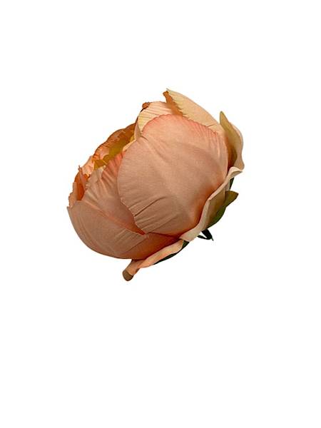 Piwonia główka 8 cm różowo pomarańczowa