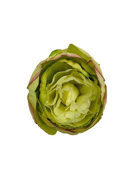 Piwonia główka 8 cm jasno zielona