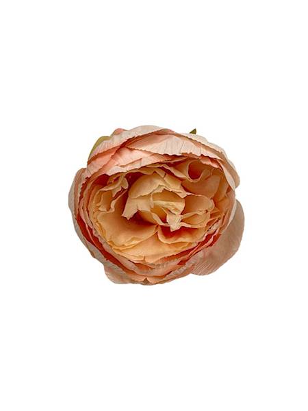 Piwonia główka 8 cm jasna brzoskwinia