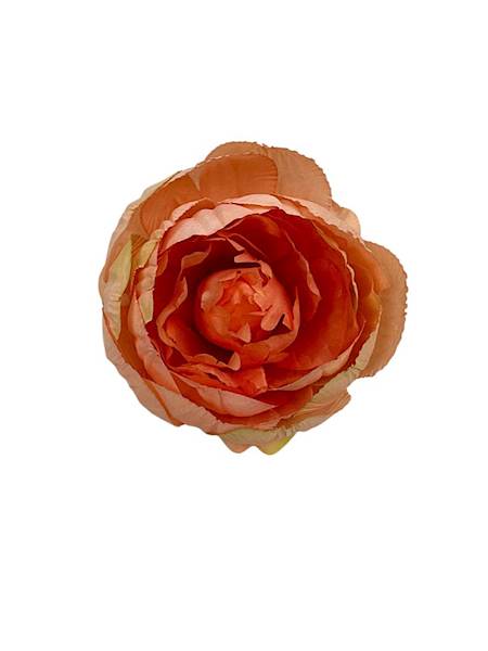 Piwonia główka 8 cm brzoskwiniowa