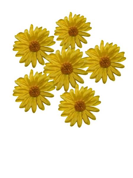 Margaretka główka 6 cm żółta 6 sztuk