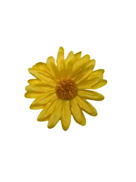 Margaretka stokrotka główka 6 cm żółta
