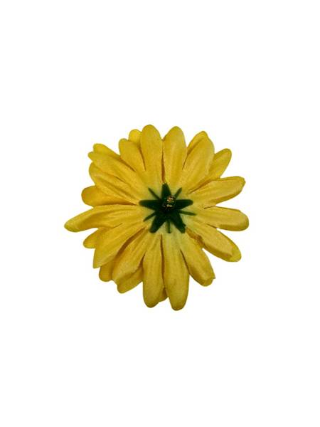 Margaretka stokrotka główka 6 cm żółta