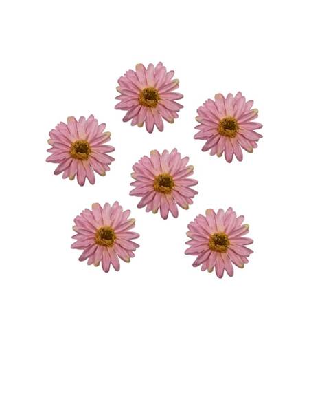 Margaretka główka 6 cm różowa 6 sztuk