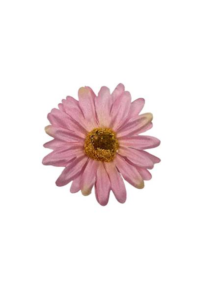 Margaretka główka 6 cm różowa 6 sztuk