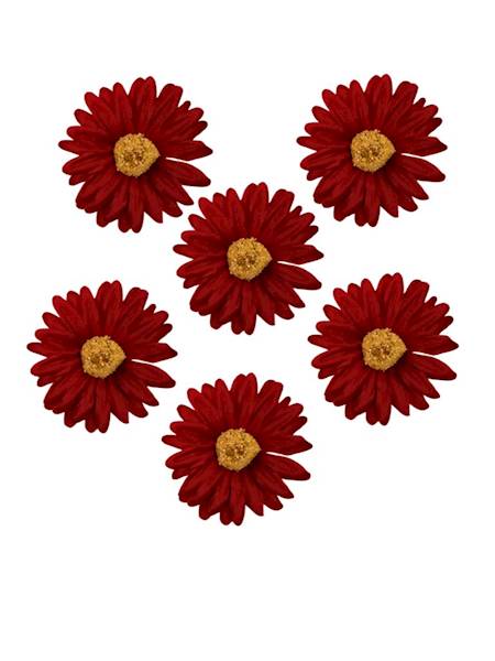 Margaretka stokrotka główka 6 cm czerwona