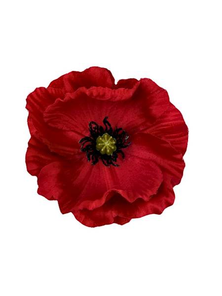 Mak główka 12 cm ciemny czerwony