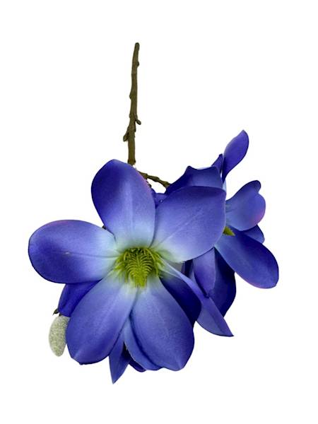 Magnolia gałązka 40 cm niebieska