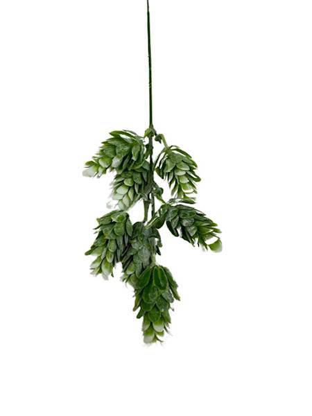 Chmiel gałązka 29 cm zielono biały 2 SZTUKI