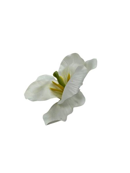 Irys główka 11 cm biały