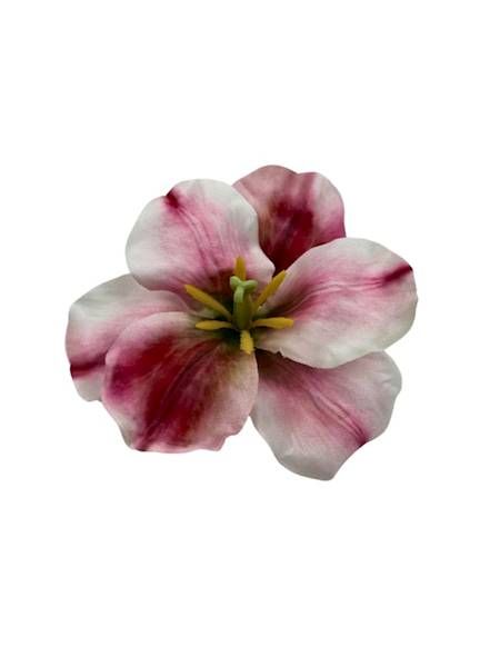 Irys główka 11 cm biało różowy